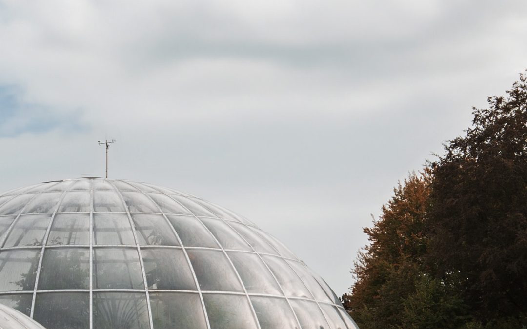 Botanischer Garten