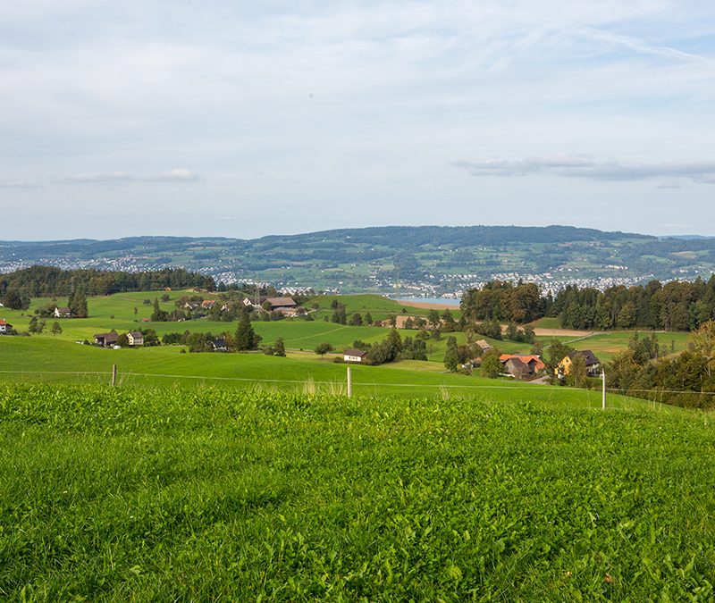 Hirzel
